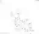 Fig. 498 - Immunomodulators