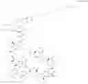 Fig. 529 - Immunomodulators
