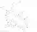 Fig. 89 - Immunomodulators