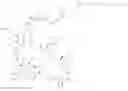 Fig. 90 - Immunomodulators