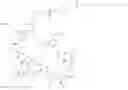 Fig. 93 - Immunomodulators