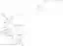Fig. 98 - Immunomodulators