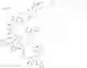 Fig. 99 - Immunomodulators