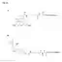Fig. 24 - Biosynthetic proline/alanine random coil polypeptides and their uses