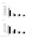 Fig. 04 - Secretagogues derived from oxalobacter formigenes