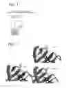 Fig. 04 - Modified biotin, mutant streptavidin, and use thereof