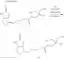 Fig. 24 - Modified biotin, mutant streptavidin, and use thereof