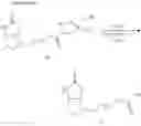 Fig. 25 - Modified biotin, mutant streptavidin, and use thereof