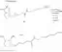 Fig. 43 - Modified biotin, mutant streptavidin, and use thereof
