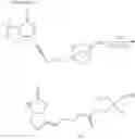 Fig. 46 - Modified biotin, mutant streptavidin, and use thereof