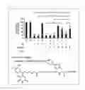 Fig. 14 - Oxidized Aβ peptide