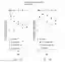 Fig. 20 - ENGINEERED POLYPEPTIDES HAVING ENHANCED DURATION OF ACTION