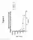 Fig. 08 - Peptidomimetic macrocycles