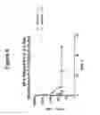 Fig. 09 - Peptidomimetic macrocycles