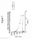 Fig. 10 - Peptidomimetic macrocycles