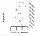 Fig. 14 - Peptidomimetic macrocycles