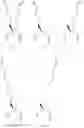 Fig. 40 - Peptidomimetic macrocycles