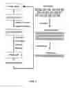 Fig. 09 - GLUCAGON-LIKE PEPTIDE-2 COMPOSITIONS AND METHODS OF MAKING AND USING SAME