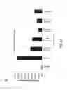 Fig. 29 - GLUCAGON-LIKE PEPTIDE-2 COMPOSITIONS AND METHODS OF MAKING AND USING SAME