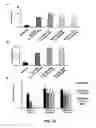 Fig. 32 - GLUCAGON-LIKE PEPTIDE-2 COMPOSITIONS AND METHODS OF MAKING AND USING SAME