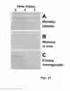 Fig. 35 - GLUCAGON-LIKE PEPTIDE-2 COMPOSITIONS AND METHODS OF MAKING AND USING SAME