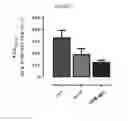 Fig. 25 - PEPTIDES WITH ENHANCED STABILITY AND THEIR USE IN METHODS FOR TREATING DISEASES