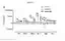 Fig. 30 - PEPTIDES WITH ENHANCED STABILITY AND THEIR USE IN METHODS FOR TREATING DISEASES
