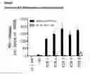 Fig. 12 - T cell receptors