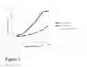 Fig. 04 - Therapeutic delivery vesicles