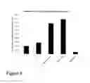 Fig. 09 - Therapeutic delivery vesicles