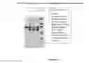 Fig. 03 - Chromatographic process for producing high purity fibrinogen and thrombin