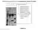 Fig. 04 - Chromatographic process for producing high purity fibrinogen and thrombin