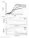 Fig. 05 - Humanized monoclonal antibodies that specifically bind and/or neutralize Japanese encephalitis virus (JEV) and their use