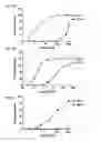 Fig. 06 - Humanized monoclonal antibodies that specifically bind and/or neutralize Japanese encephalitis virus (JEV) and their use