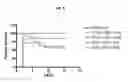 Fig. 06 - Monoclonal antibodies that react with the capsule of 