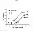 Fig. 15 - Anti CD37 antibodies