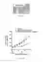 Fig. 17 - Antibody drug conjugates