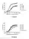 Fig. 05 - Fc variants with improved complement activation