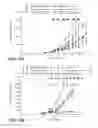 Fig. 06 - METHOD OF TREATING MULTIPLE MYELOMA USING COMBINATION THERAPIES BASED ON ANTI-CS1 ANTIBODIES