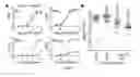 Fig. 11 - Compositions and methods related to antibodies to staphylococcal protein A