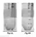 Fig. 07 - PACKAGING FORMULATION FOR PREVENTING THE INSOLUBILITY OF CHITOSAN-CONTAINING COMPOSITIONS