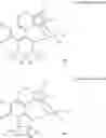 Fig. 08 - Elastic diene terpolymer and preparation method thereof