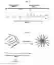 Fig. 06 - Fluorescent polymers and applications thereof
