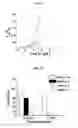 Fig. 08 - Fluorescent polymers and applications thereof