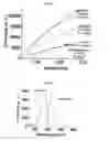 Fig. 09 - Fluorescent polymers and applications thereof