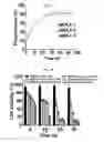 Fig. 12 - Fluorescent polymers and applications thereof