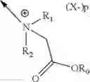 Fig. 04 - Hyperbranched polymers