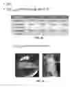 Fig. 12 - MULTISCALE POROUS POLYMER FILMS