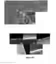 Fig. 18 - MULTISCALE POROUS POLYMER FILMS