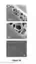 Fig. 21 - MULTISCALE POROUS POLYMER FILMS